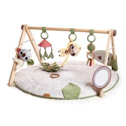 TINY LOVE Boho Chic Luxe Developmental Gymini