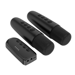 AXGEAR Wireless Karaoke Companion Machine Bluetooth Mic Ktv Dsp Mixer Amplifier