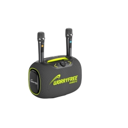 WORRYFREE GADGETS Wfg Party Box-Wireless 120W Portable Bluetooth Speaker Karaoke With Two Microphones - In Gray