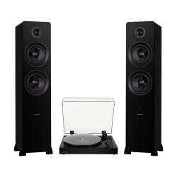 FLUANCE Rt81+ Turntable & Ai81 Tower Speakers: Superior Sound Harmony for Analog Lovers