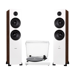 FLUANCE Rt81+ Turntable & Ai81 Tower Speakers: Superior Sound Harmony for Analog Lovers