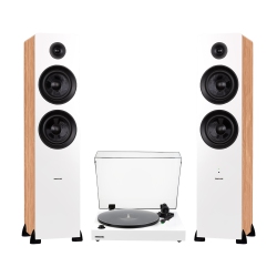 FLUANCE Rt81+ Turntable & Ai81 Tower Speakers: Superior Sound Harmony for Analog Lovers