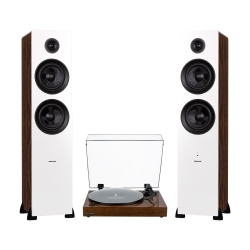 FLUANCE Rt81+ Turntable & Ai81 Tower Speakers: Superior Sound Harmony for Analog Lovers