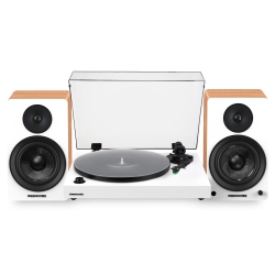 FLUANCE Rt81+ Elite Hifi Turntable & Ai61 6.5" Speakers Bundle: Enhanced Sound Clarity And Power
