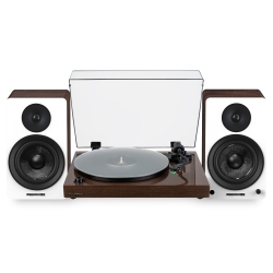 FLUANCE Rt81+ Elite Hifi Turntable & Ai61 6.5" Speakers Bundle: Enhanced Sound Clarity And Power