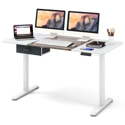 COSTWAY Electric Standing Desk 55" X 28" Height Adjustable Sit Stand With USB Charging Port