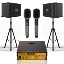 PEAK Karaoke Pro Stage I System - 600W In Gold