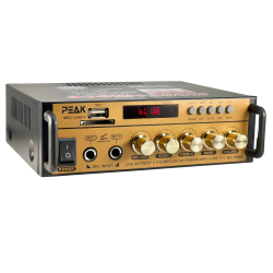 PEAK Karaoke Bluetooth Amplifier (Echo & 600W): Pk-Amp-001 In Gold