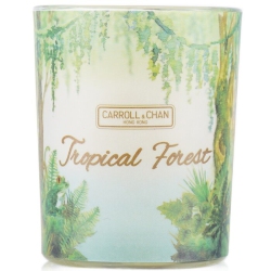 CARROLL &AMP CHAN 100% Beeswax Votive Candle - Tropical Forest 65G/2.3OZ