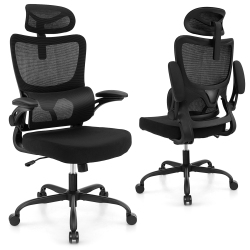 COSTWAY Mesh Office Chair With Adaptive Lumbar Support Flip-Up Padded Armrests Headrest