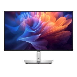 DELL 27 Monitor - P2725H