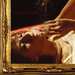 WARNER RECORDS Team Sleep - Team Sleep [Vinyl Lp]