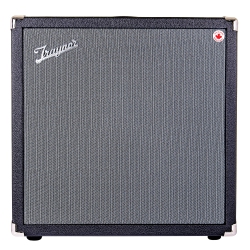 TRAYNOR Bassmaster 12 Mobile - Battery Powered Bass Amp