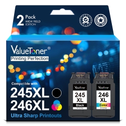 VALUETONER Ink Cartridges Replacement for Canon 245Xl 246Xl 243 244 for Pixma Tr4520 Tr4527 Mg2522 Mg2520 Mx490 Mx492 Ts202 (Black, Color, 2-Pack)