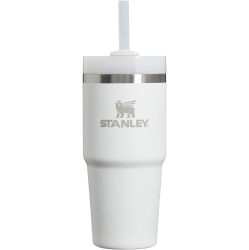 STANLEY Quencher H2.0 Flowstate Stainless Steel Vacuum Insulated Tumbler \w Lid And Straw for Water, Iced Tea Or Coffee, Smoothie And More, Frost