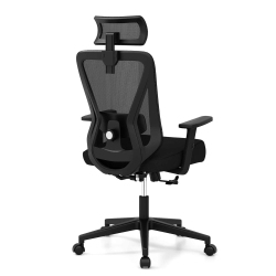 COSTWAY Ergonomic Office Chair With Adjustable Lumbar Support Tilting Function Headrest