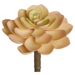 ALLSTATE Echeveria Succulent Artificial Stem Spray - 5" - In Yellow