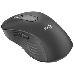 Logitech Signature M650 L for Business 4000 DPI Bluetooth Precision Wireless Mouse For Medium to Large Hands - Graphite