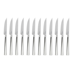 HENCKELS Queensgate Steak Knife Set, 12 Piece In Silver