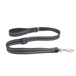ISTAR Medium Pull Dog Leash With Comfortable Handle, Medium In Black