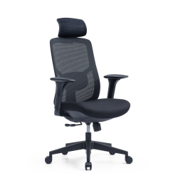 CEHA CANADA Yng Ergonomic Mesh Office Chair Frame/mesh Back Seat/soft Seat In Black