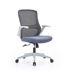 CEHA CANADA Task Office Chair - Frame/ Mesh Back Seat/ Soft Seat In Gray