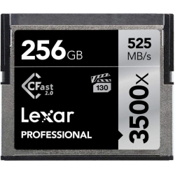 LEXAR 256GB Professional Memory Card - In Black