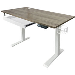 Ljubljana 47" Electric Height Adjustable Standing Desk Standing Desk - White