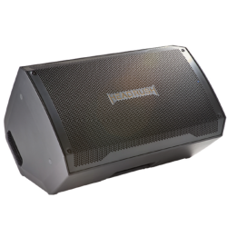 HEADRUSH Frfr112Mk2 2500-Watt Full-Range Flat-Response Guitar/bass Speaker