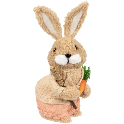 NORTHLIGHT Plush Boy Easter Rabbit Figurine With Carrots - 11