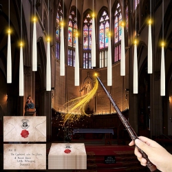 YOULIGHTS Halloween Decorations, 12 Floating Candles \w Wand Remote And 20PCs Floating Wizards Acceptance Letter Banners, Flameless Led Candles