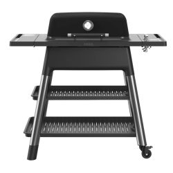 EVERDURE Force 2 Burner Gas Grill In Black