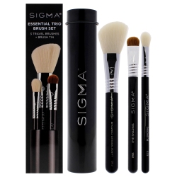 SIGMA Essential Brush Set - By for Women - 4 PC Eye Shading Brush - E55, Large Angled Contour Brush - F40, Blending Brush - E25, Brush Tin In Black