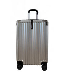 TRAVLR Strokes 29" Checkin Hardside Luggage Expandable, Mute Eight Wheels Wheels And Tsa Lock- In Silver