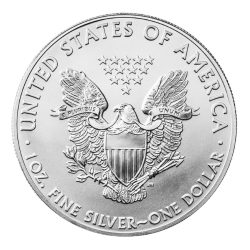 BORDER GOLD 1 OZ American Eagle Coin In Silver