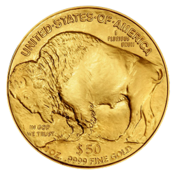 BORDER GOLD 1 OZ American Buffalo Coin
