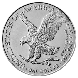 BORDER GOLD 1 OZ American Eagle Coin (Type 2) In Silver
