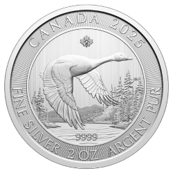 BORDER GOLD 2 OZ Canada Goose Maple In Silver