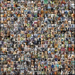 SONIC RECORDS Dog City - Vinyl