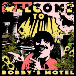 ROYAL MOUNTAIN RECOR Pottery - Welcome to Bobby's Motel - [Vinyl]