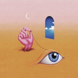 FAT POSSUM Wavves - Hideaway - [Vinyl]