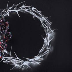 TRANSPARENT ARTS The Rose - Dual (Dusk Version) - Vinyl - [Vinyl] In Black