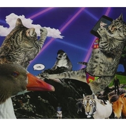 MEUTE LA Navet Confit - Lol [Import] - (Canada - Import) - [CD]