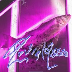 BONSOUND Virginie B - Astral 2000 [Import] - (Canada - Import) - [Vinyl]