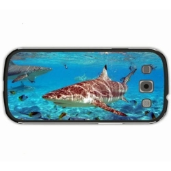 ROYAL MOUNTAIN RECOR Hollerado - Born Yesterday - [CD]