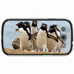 ROYAL MOUNTAIN RECOR Ought - Room Inside The World - [Vinyl]