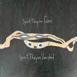 Animal Collective - Spirit They're Gone Spirit They've Vanished - (Remastered, Digital Download Card) - [Vinyl] in Multicolor