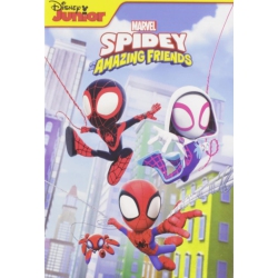 DISNEY Spidey And His Amazing Friends: Season 1 - DVD