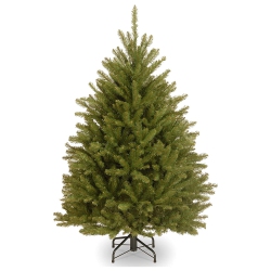 NATIONAL TREE Company Artificial Mini Christmas Tree, Green, Dunhill Fir, Includes Stand, 4 Feet