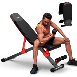 HARISON Adjustable Weight Bench With Leg Extension And Preacher Pad, Flat Incline Decline Exercise Bench for Home Workout Weight Training (Bbca-608G)
